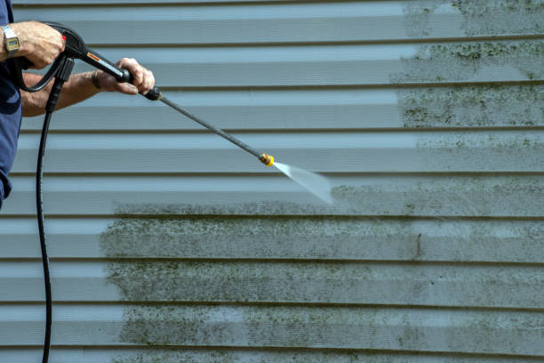 Best Residential Exterior Washing  in Lanse, MI